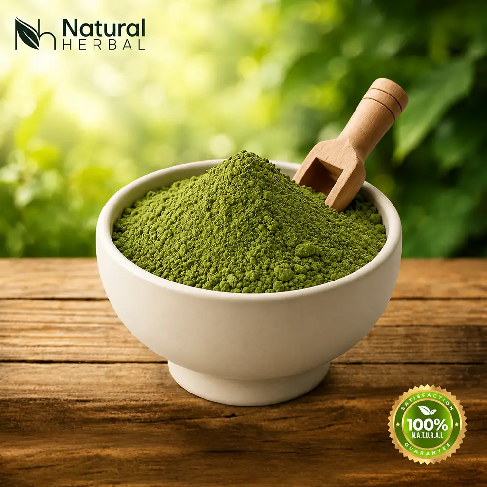 Indigofera Tinctoria Powder Wholesalers in Sojat City, Rajasthan Indigofera Tinctoria Powder Wholesalers in Sojat City, Rajasthan